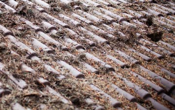 Deanend roof cleaning companies